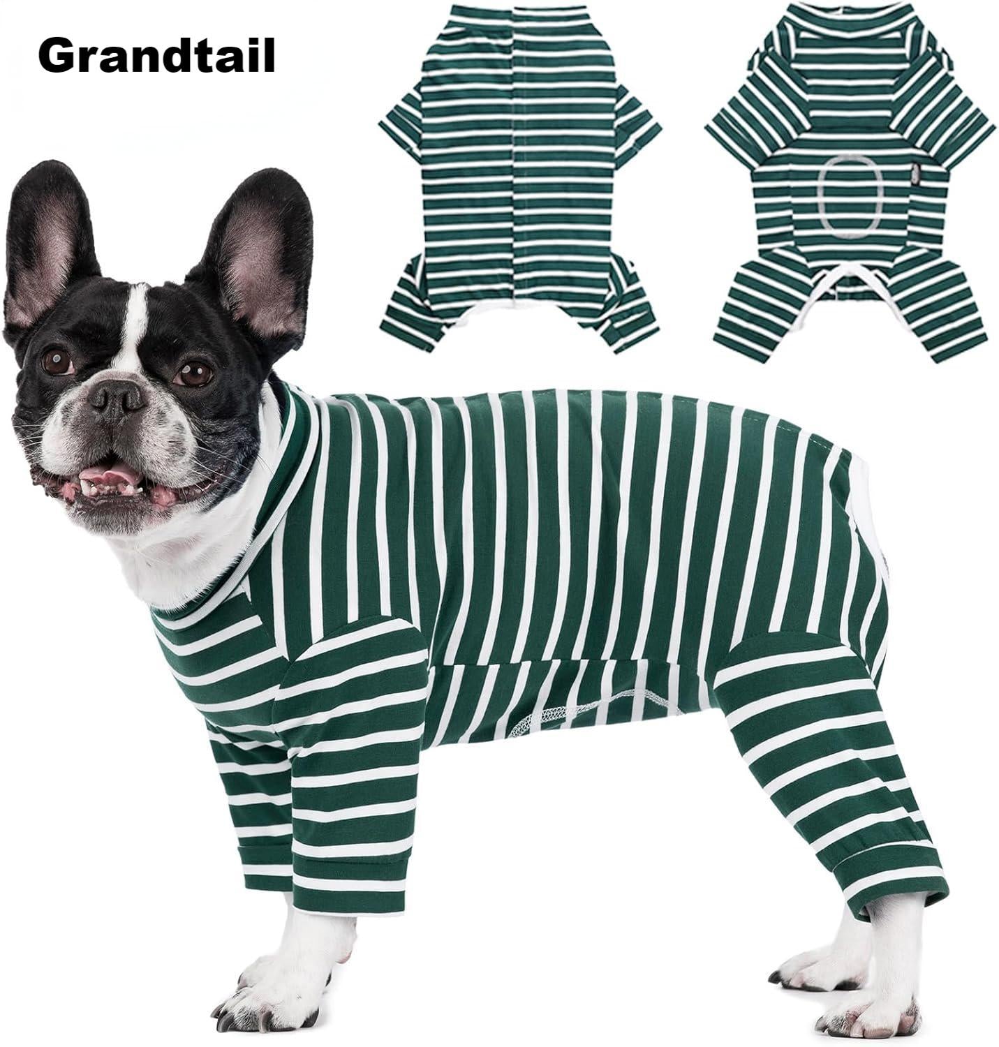 Grandtail Long Sleeve Recovery Suit for Dogs Spay Neuter Suit for Dogs After Surgery Small Medium Dogs Surgical Onesie Dog Cone