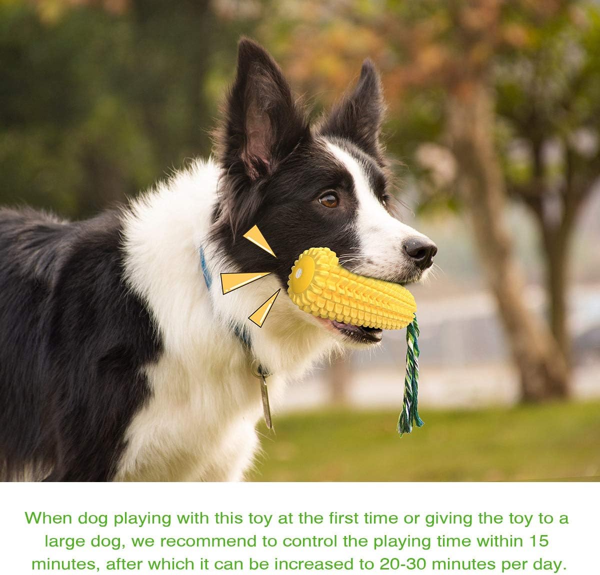 Grandtail Dog Chew Toys for Aggressive Chewers, Indestructible Tough Durable Squeaky Interactive Dog Toys, Puppy Teeth Chew Corn Stick Toy for Small Meduium Large Breed